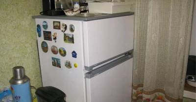 Зачем мастер прикладывал ухо к дребезжащему холодильнику - lifehelper.one
