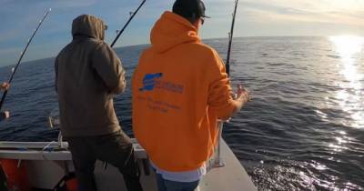 Боролась с рыбаками 90 минут: огромная акула в США разорвала тунца, пока его поднимали на лодку - mur.tv - Сша - Бостон - штат Гавайи