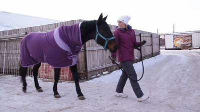 Жители Пермского края спасли лошадь от гибели. - mur.tv - Пермский край
