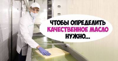 Старый технолог Шаргородского маслозавода поделился, как проверить масло не отходя от кассы - lifehelper.one