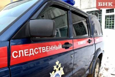 По факту гибели женщины после нападения собак в Ухте возбуждено уголовное дело - mur.tv - Россия - республика Коми