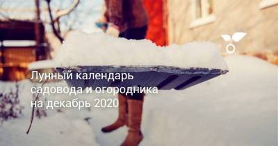 Лунный календарь садовода и огородника на декабрь 2020 - sadogorod.club