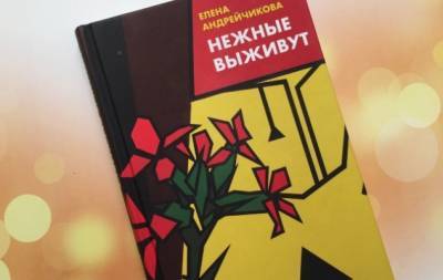"Нежные выживут": рецензия на самую легкую и душевную книгу этого года - hochu.ua - Украина - Амстердам