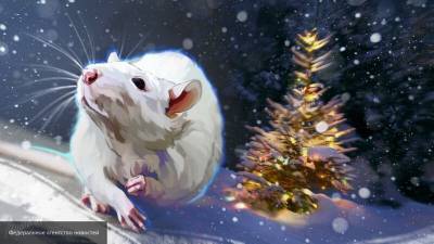 Как правильно проводить год Крысы и встретить год Быка: советы астрологов - mur.tv