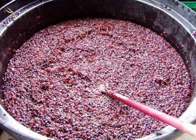 Как сделать чачу из виноградного жмыха в домашних условиях - sadogorod.club