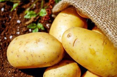 7 интересных фактов о картофеле, о которых не догадываются - lifehelper.one
