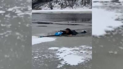 Спасение парня и собаки из реки в Твери попало на видео - mur.tv - Тверь