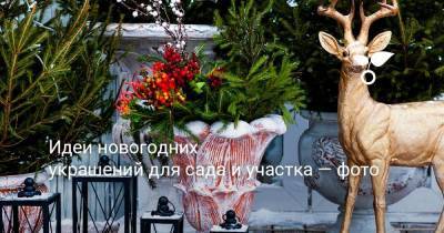 Идеи новогодних украшений для сада и участка — фото - sadogorod.club