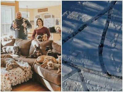 Супруги сделали снежный лабиринт для своих 20 собак - mur.tv - Сша