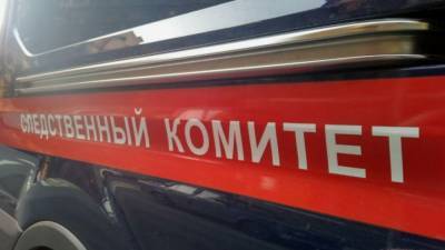 Полиция выясняет подробности смерти сына светской львицы на Рублевке - mur.tv - Московская обл.