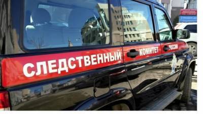 В Красноярске на школьницу напала стая бродячих собак - mur.tv - Россия - Красноярск