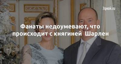 принц Габриэлла - Фанаты недоумевают, что происходит с княгиней Шарлен - 7days.ru