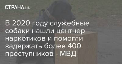 В 2020 году служебные собаки нашли центнер наркотиков и помогли задержать более 400 преступников – МВД - mur.tv - Украина