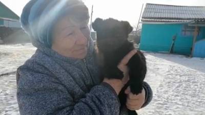 В Забайкальском крае родился пятилапый щенок. - mur.tv - Забайкальский край
