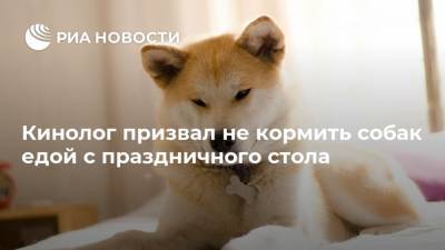 Владимир Голубев - Кинолог призвал не кормить собак едой с праздничного стола - mur.tv - Россия - Москва