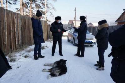 В столице Бурятии собаки обглодали девушку до костей - mur.tv - республика Бурятия - Улан-Удэ