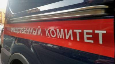 Житель Красноярска до смерти избил многодетную мать из-за собаки - mur.tv - Красноярск