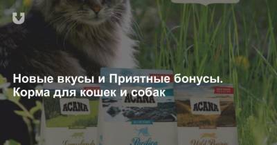 Новые вкусы и Приятные бонусы. Корма для кошек и собак - mur.tv - Канада - Испания - Белоруссия