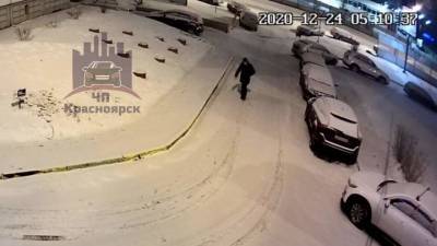 До смерти избивший женщину красноярец списал свой гнев на лай собаки - mur.tv - Красноярск