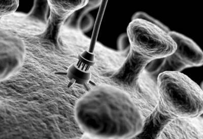 Наномоторы в живой клетке — к чему приведет эксперимент по внедрению механизмов в организм - chert-poberi.ru - штат Пенсильвания