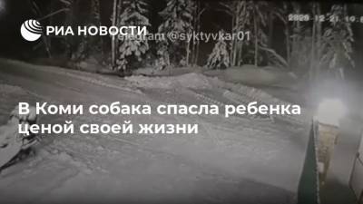 Николай Халак - В Коми собака спасла ребенка ценой своей жизни - mur.tv - Москва - республика Коми