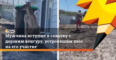 Мужчина вступил в схватку с дерзким кенгуру, устроившим хаос на его участке - mur.tv