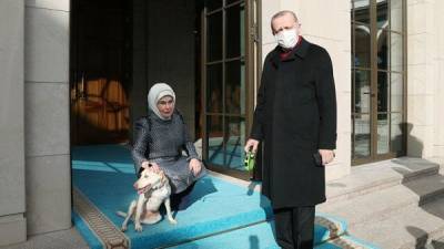 Президент и первая леди Турции впервые показались с собакой из приюта - mur.tv - Турция