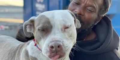 В США бездомный побежал в горящее здание, чтобы помочь животным из местного приюта. Ему это удалось он спас 6 собак и 10 котов - mur.tv - Сша - штат Джорджия