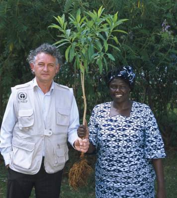 Фонд Yves Rocher висадив 100 мільйонів дерев у світі! - liza.ua