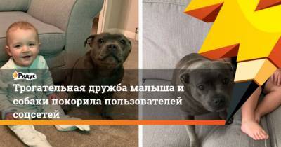 Трогательная дружба малыша и собаки покорила пользователей соцсетей - mur.tv
