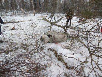 В Башкирии мужчина пострадал во время спасения собаки - mur.tv - республика Башкирия