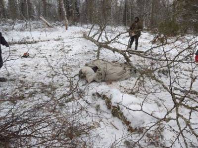 В Башкирии мужчина едва не погиб, спасая собаку - mur.tv - республика Башкирия - район Белорецкий
