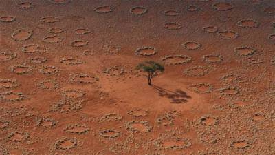 Ведьмины кольца: как появляются круги в пустыне Намиб (6 фото) - chert-poberi.ru - Юар - Ангола