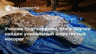 Ученые подтвердили, что в Якутии найден уникальный шерстистый носорог - mur.tv - Москва - республика Саха