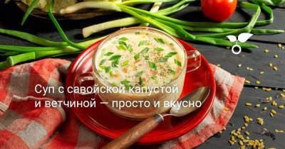 Суп с савойской капустой и ветчиной — просто и вкусно - sadogorod.club