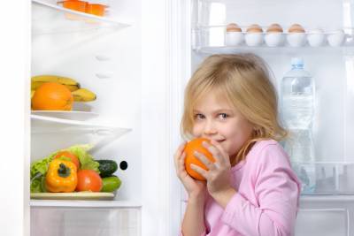 Как люди раньше обходились без холодильников? - shkolazhizni.ru - Индия - Греция - Египет