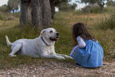 Собака и ребёнок: 5 золотых правил питания, которые надо усвоить - mur.tv