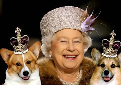 королева Елизавета II (Ii) - Английская королева переживает горе: у нее остался единственный питомец - mur.tv - Англия