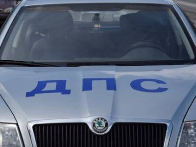 В Башкирии трое подростков погибли в автомобиле после столкновения на дороге с лошадьми - mur.tv - республика Башкирия - район Абзелиловский