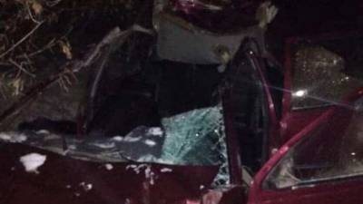 В Башкирии автомобиль влетел в табун лошадей: погибли трое подростков - mur.tv - республика Башкирия