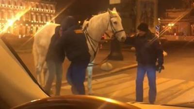 Охранники подрались с девушкой на лошади в центре Петербурга - mur.tv - Санкт-Петербург