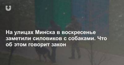 На улицах Минска в воскресенье заметили силовиков с собаками. Что об этом говорит закон - mur.tv - Минск
