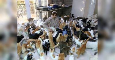 Женщина живет в компании 480 кошек и 12 собак - mur.tv - Оман