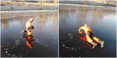 В Москве спасатели вытащили вмерзшую в лёд утку - mur.tv - Москва