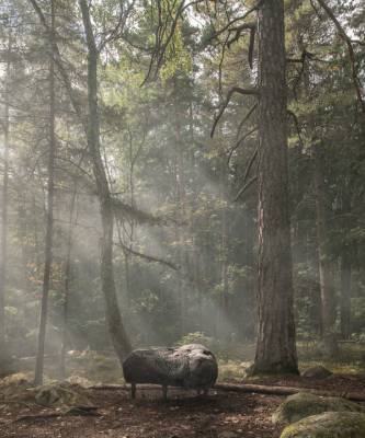 Камень в лесу: совместный проект студии Front и Moroso - elle.ru - Италия - Швеция