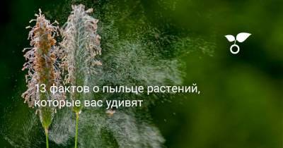 13 фактов о пыльце растений, которые вас удивят - sadogorod.club