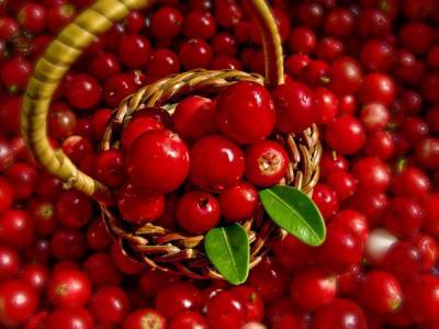 Какие плоды и ягоды помогут улучшить состояние здоровья? - lifehelper.one