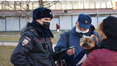 Владельцев собак Кировского района проверили на соблюдение законодательства - mur.tv - Санкт-Петербург