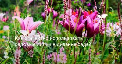 Как эффектно использовать садовые лилии в дизайне сада? - sadogorod.club
