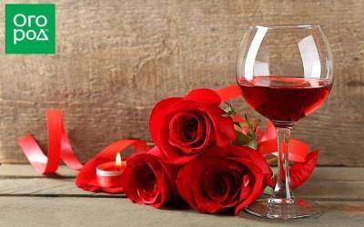 Что можно приготовить из лепестков роз – рецепты варенья, вина, настоек - sadogorod.club